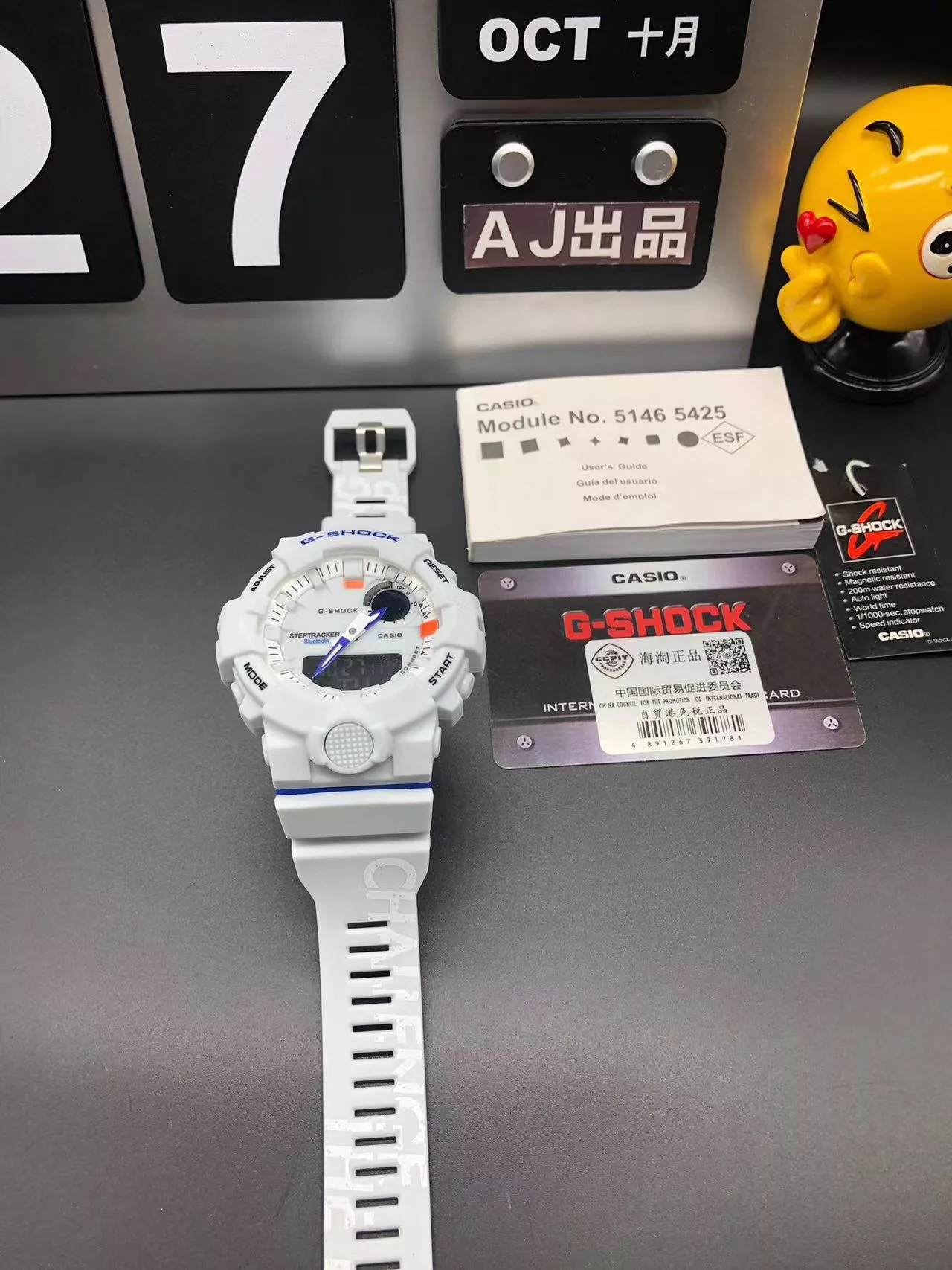 IBL-005000