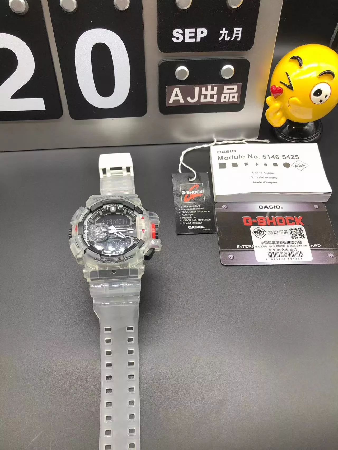 IBL-005395