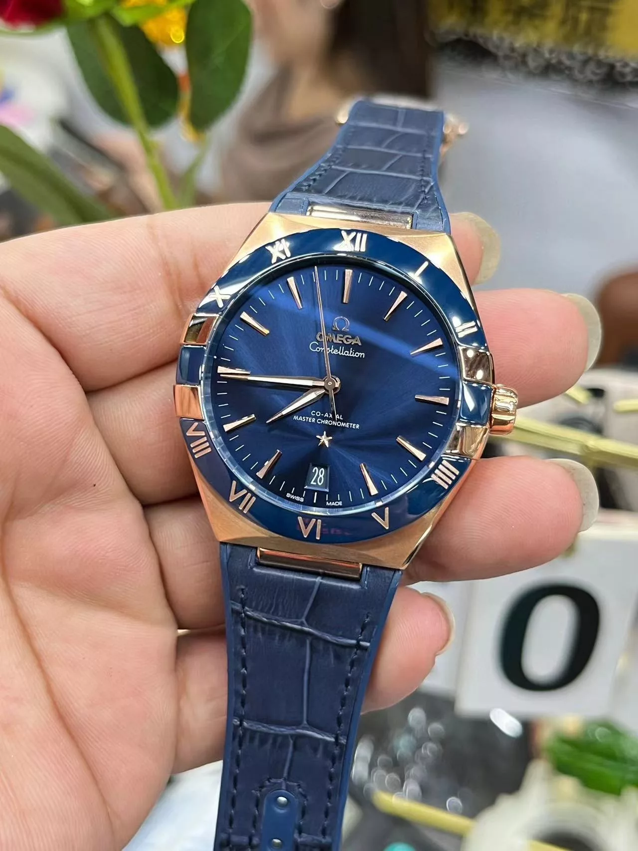 IBL-007119