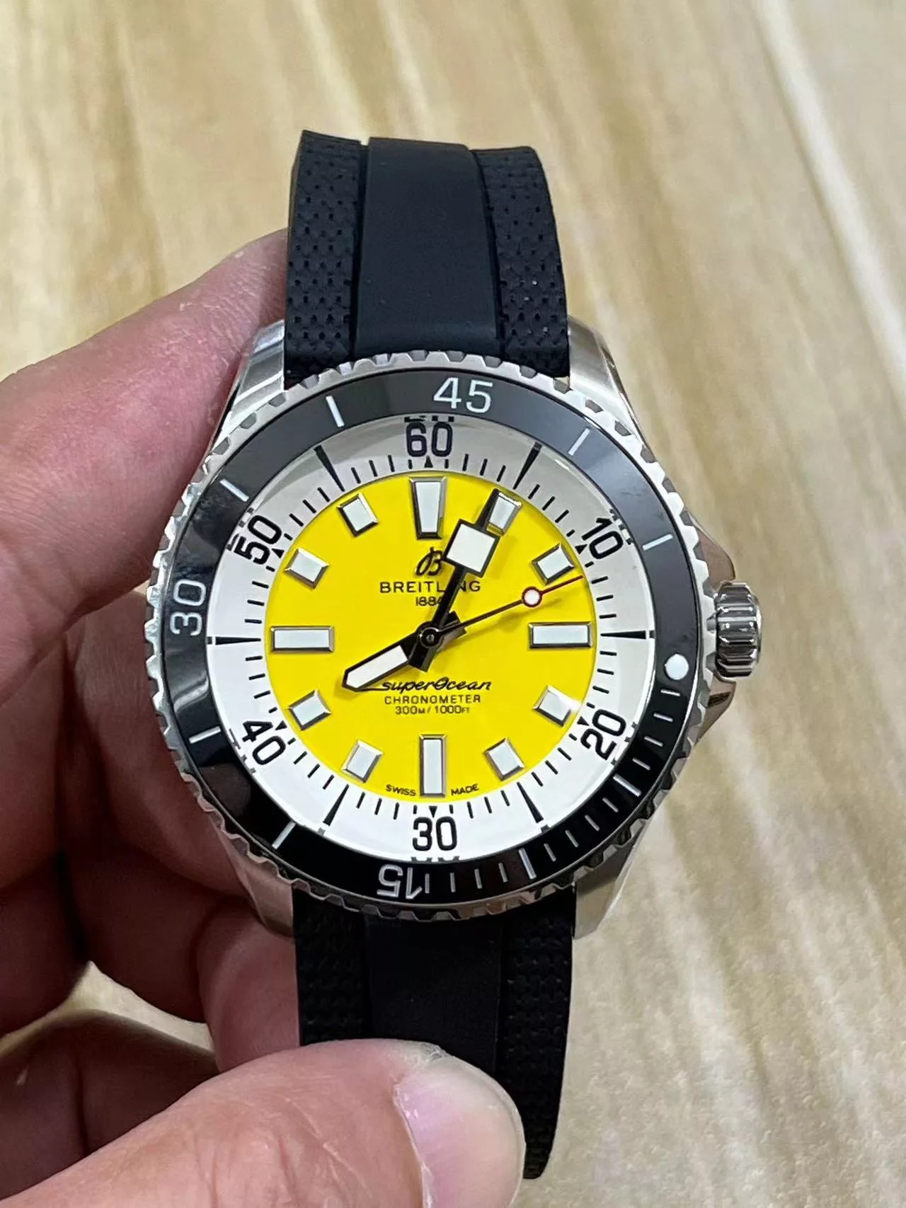 IBL-009813
