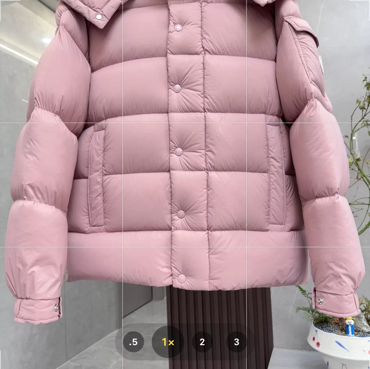 IBL-012296