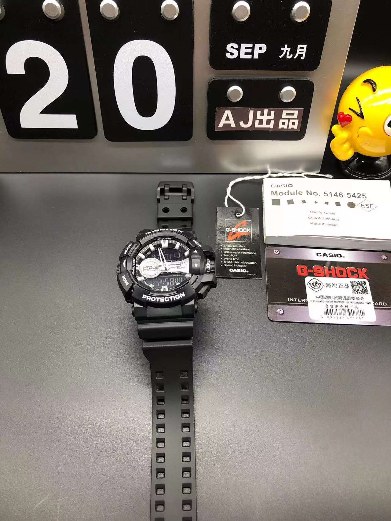 IBL-016737