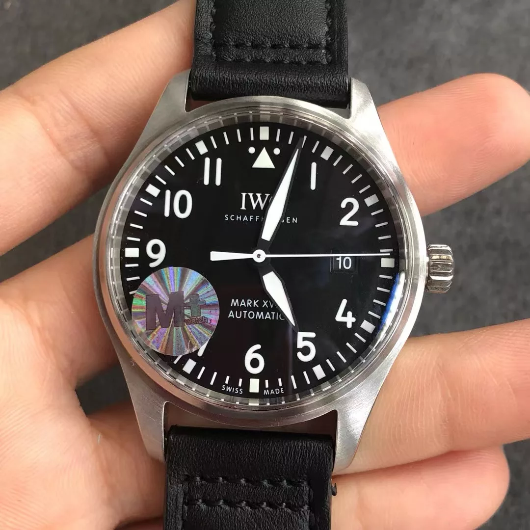 IBL-019456