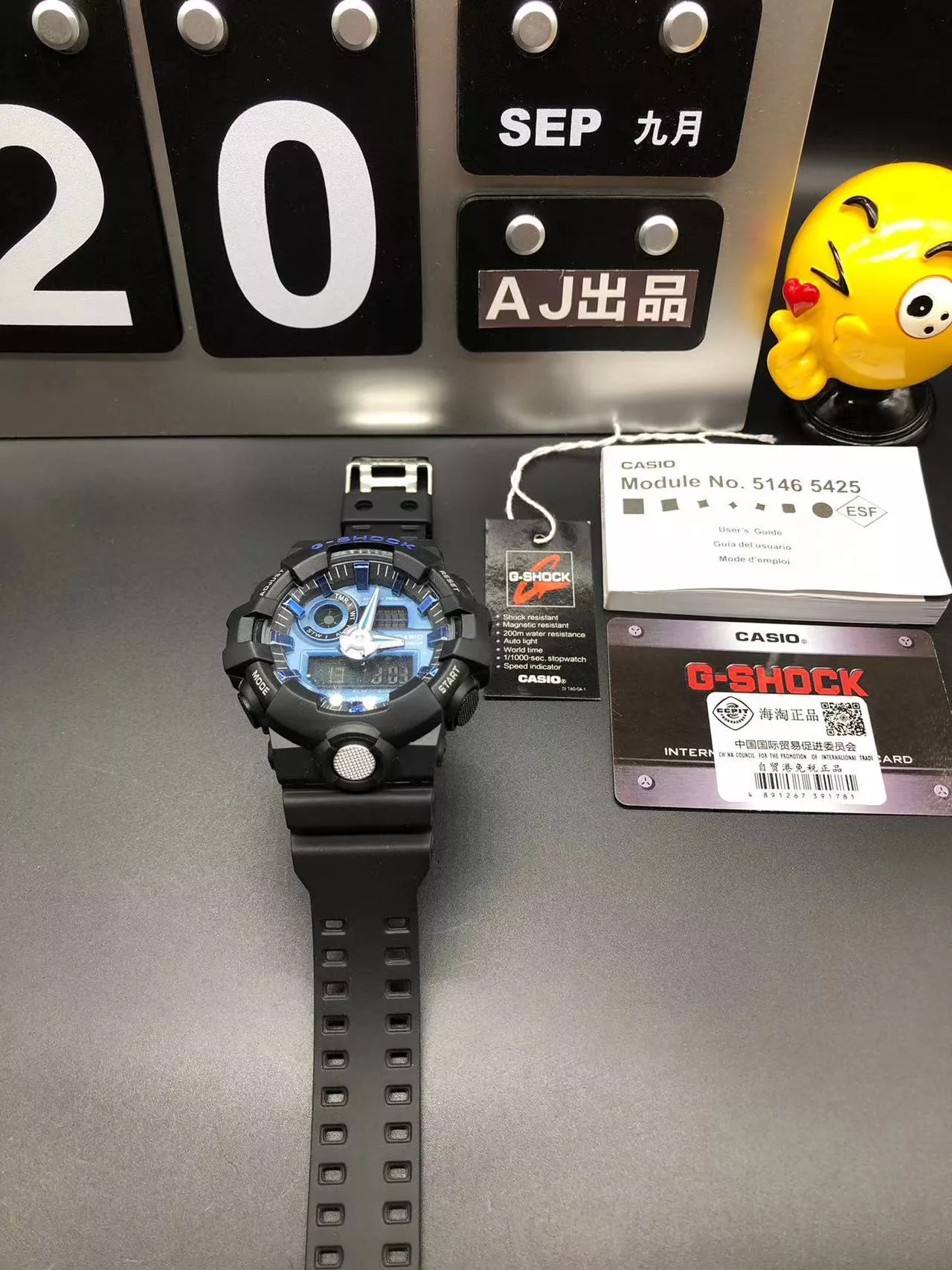 IBL-020028