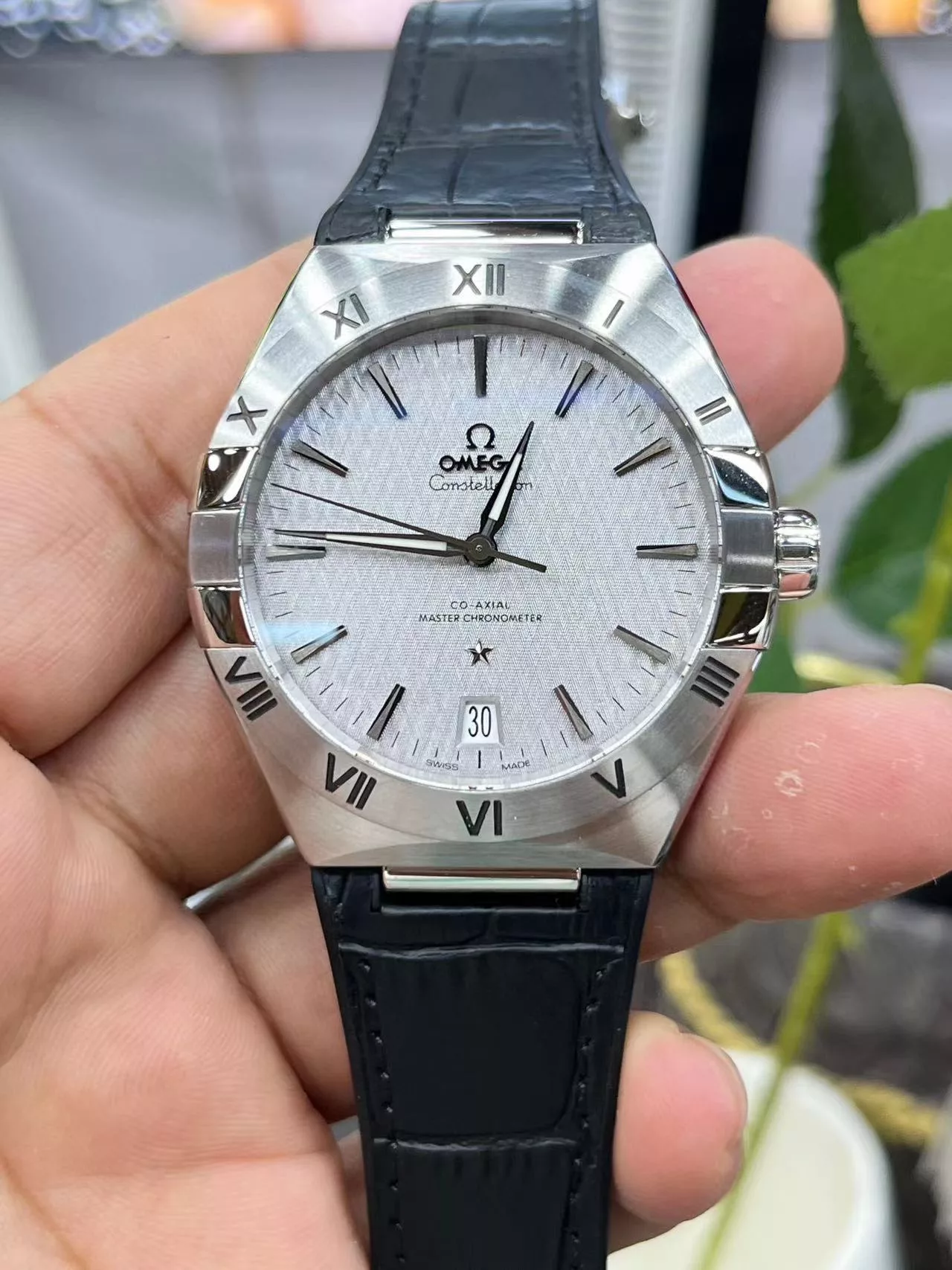 IBL-021353