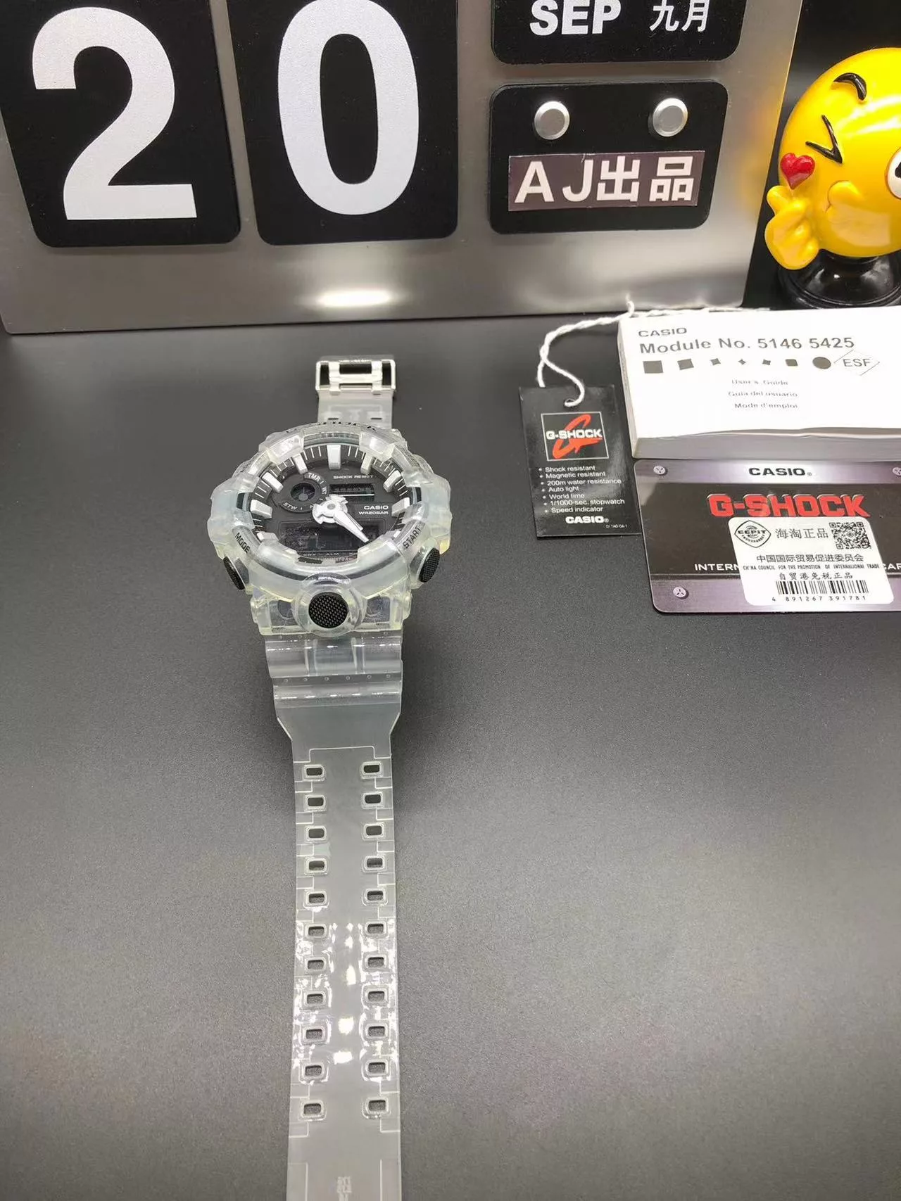 IBL-028879