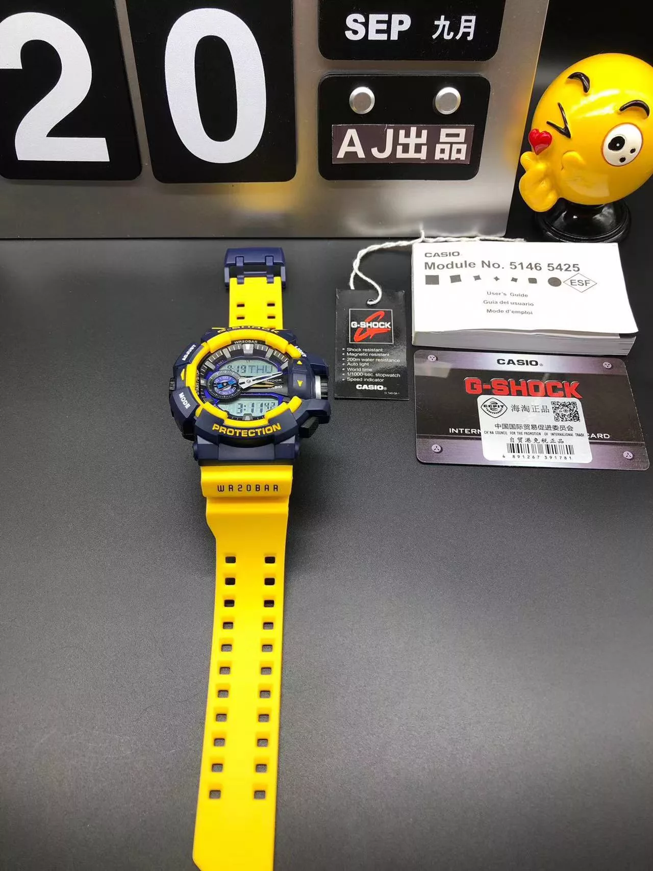 IBL-029020