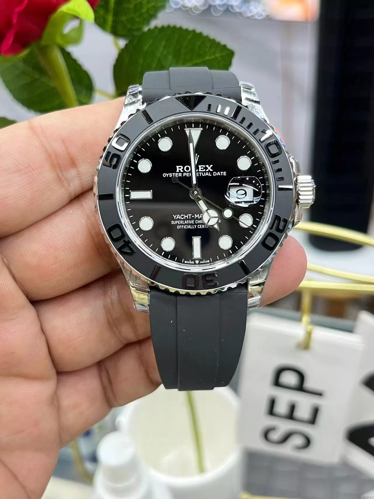 IBL-029206